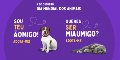 Município de Mora lança campanha para adoção responsável de animais de companhia