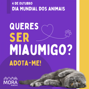 Município de Mora lança campanha para adoção responsável de animais de companhia