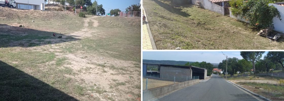 Município de Mora continua trabalhos de limpeza