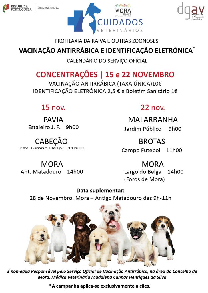 Cuidados veterinários // vacinação antirrábica e identificação electrónica