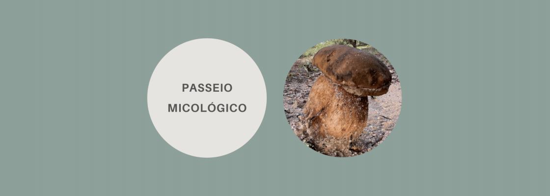 Passeio Micológico – Ciência e Gastronomia