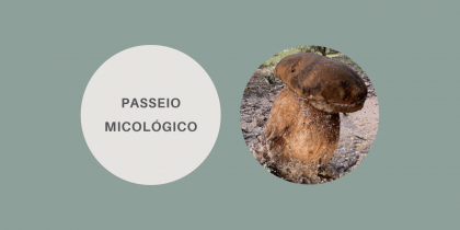 Passeio Micológico – Ciência e Gastronomia