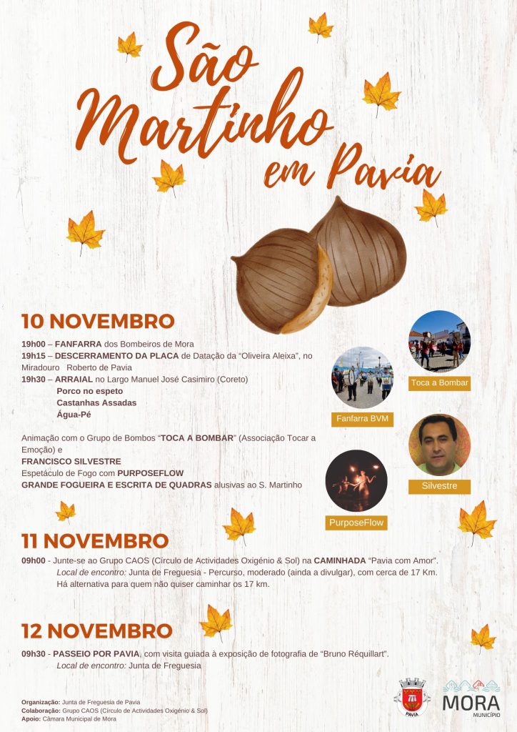 São Martinho em Pavia