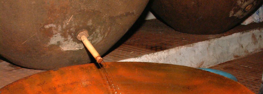 Produção do vinho de talha inscrito no inventário nacional do Património Cultural Imaterial