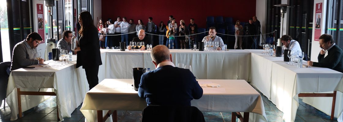 Vinhos de talha premiados em segundo Concurso de Vinhos de Cabeção