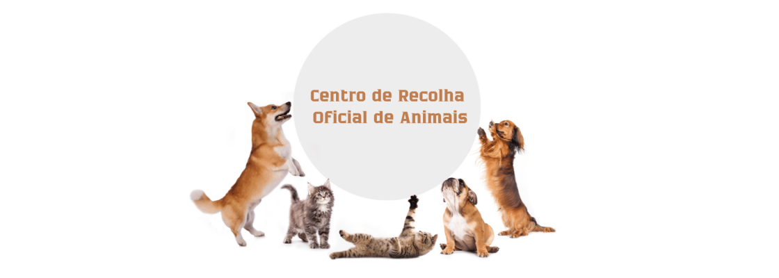 Centro de Recolha Oficial de Animais (Canil/Gatil Municipal) uma realidade muito próxima