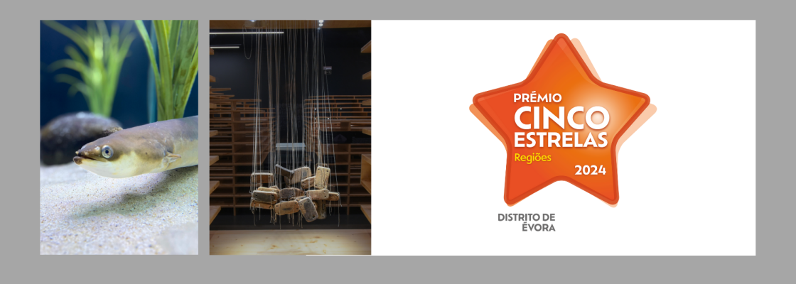 Fluviário e Museu distinguidos nos prémios Cinco Estrelas Regiões 2024