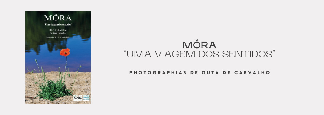 Exposição e livro “Móra, uma viagem dos sentidos” inaugura na Casa do Alentejo