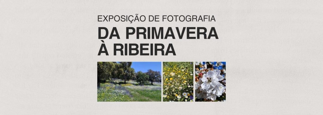Exposição “Da Primavera à Ribeira”