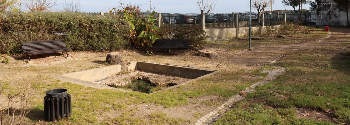 Intervenções a decorrer no jardim público