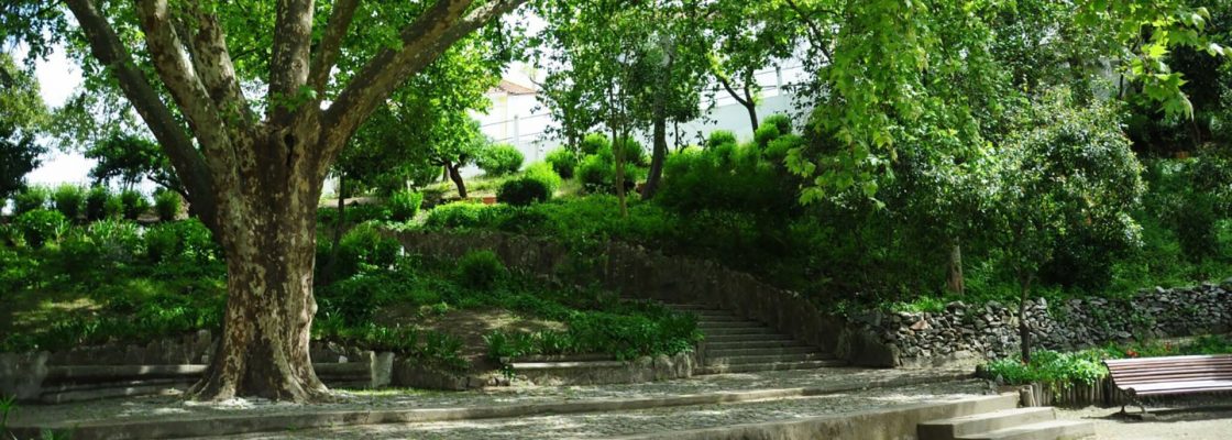 Requalificação do Jardim Público de Mora