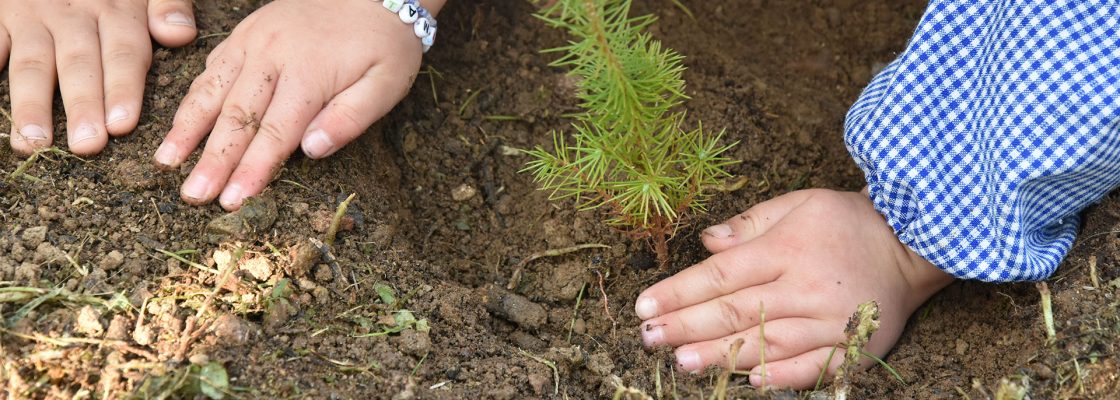 Dia Mundial da Árvore | Um dia cheio de atividades no Parque Ecológico do Gameiro