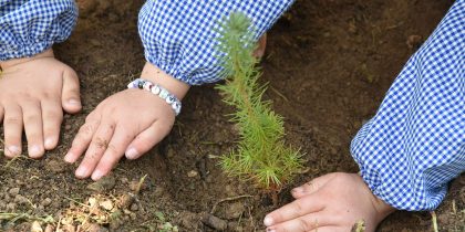 Dia Mundial da Árvore | Um dia cheio de atividades no Parque Ecológico do Gameiro