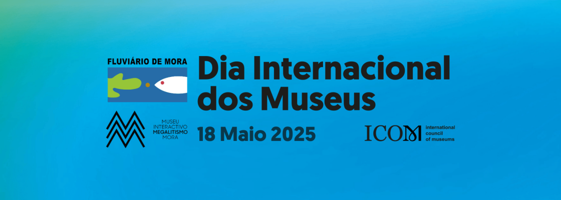 Dia Internacional dos Museus assinalado com campanha de desconto