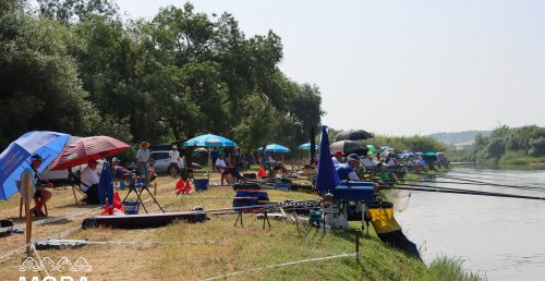 17º Campeonato do Mundo de Pesca Desportiva – Veteranos | 1º dia de provas