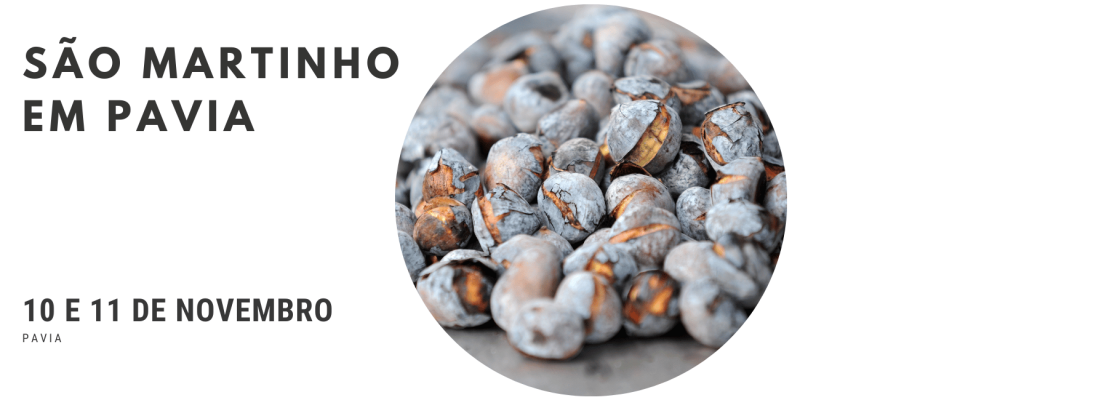 São Martinho em Pavia