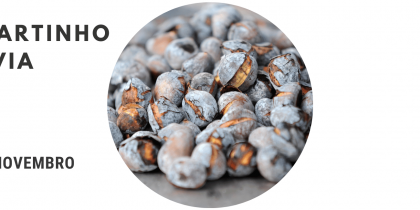 São Martinho em Pavia