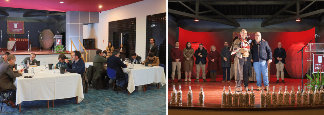 Cabeção volta a afirmar a excelência do Vinho de Talha no 4.º Concurso de Vinhos