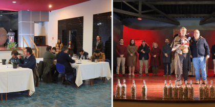 Cabeção volta a afirmar a excelência do Vinho de Talha no 4.º Concurso de Vinhos