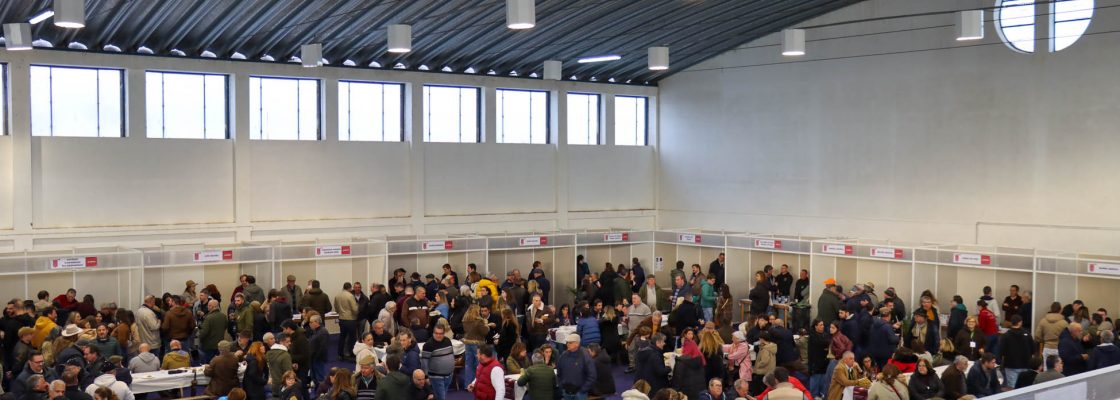 Cabeção celebrou os seus produtores e o Vinho de Talha com centenas de visitantes