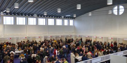 Cabeção celebrou os seus produtores e o Vinho de Talha com centenas de visitantes