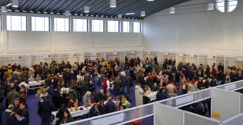 Cabeção celebrou os seus produtores e o Vinho de Talha com centenas de visitantes