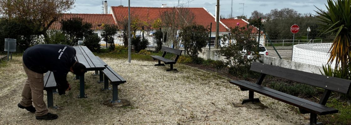 Requalificação de equipamentos no recreio da Escola de Pavia