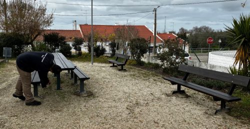 Requalificação de equipamentos no recreio da Escola de Pavia