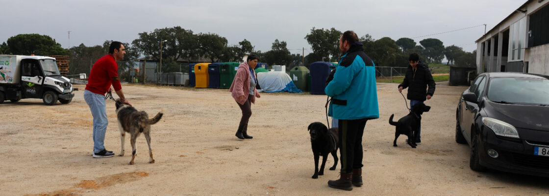 CERCIMOR junta-se ao Município em iniciativa de bem-estar animal