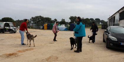 CERCIMOR junta-se ao Município em iniciativa de bem-estar animal