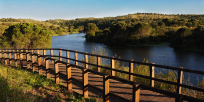 Ponto de Situação – Passadiço do Gameiro