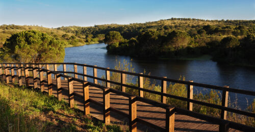 Ponto de Situação – Passadiço do Gameiro