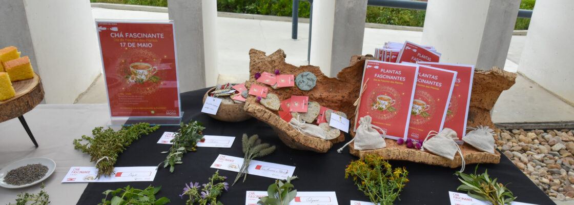 Evento “Chá Fascinante” no Fluviário de Mora