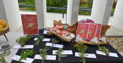 Evento “Chá Fascinante” no Fluviário de Mora