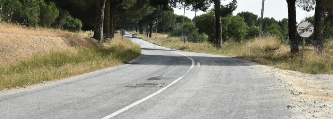 Município de Mora solicita intervenção urgente na N2 entre Mora e Brotas