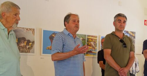 Casa da Cultura de Mora acolhe Exposição Fotográfica “Na Companhia dos Pássaros”