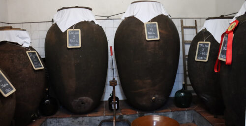 Cabeção conquista reconhecimento para os seus Vinhos de Talha